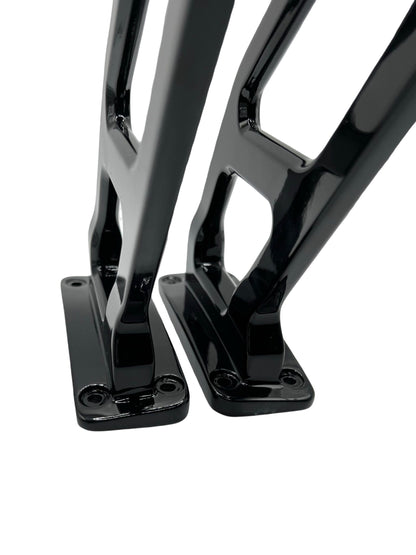 MERCEDES-BENZ AMG GTR PRO WING RISERS