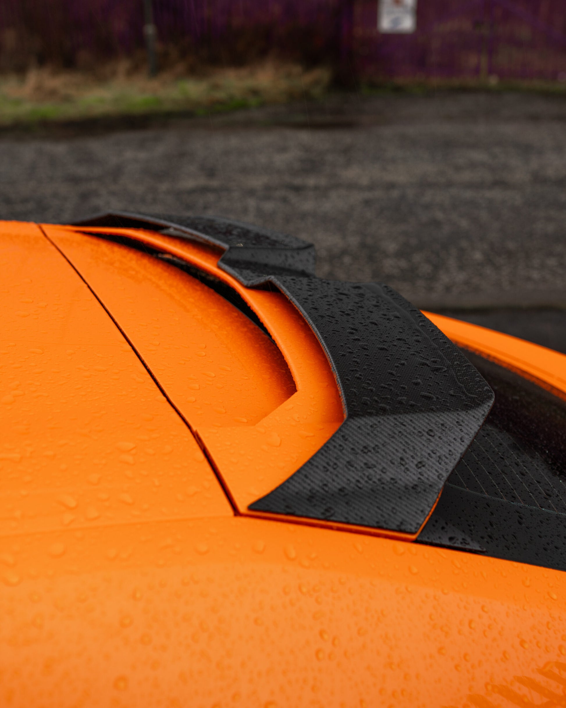 Carbon Rear Roof Spoiler