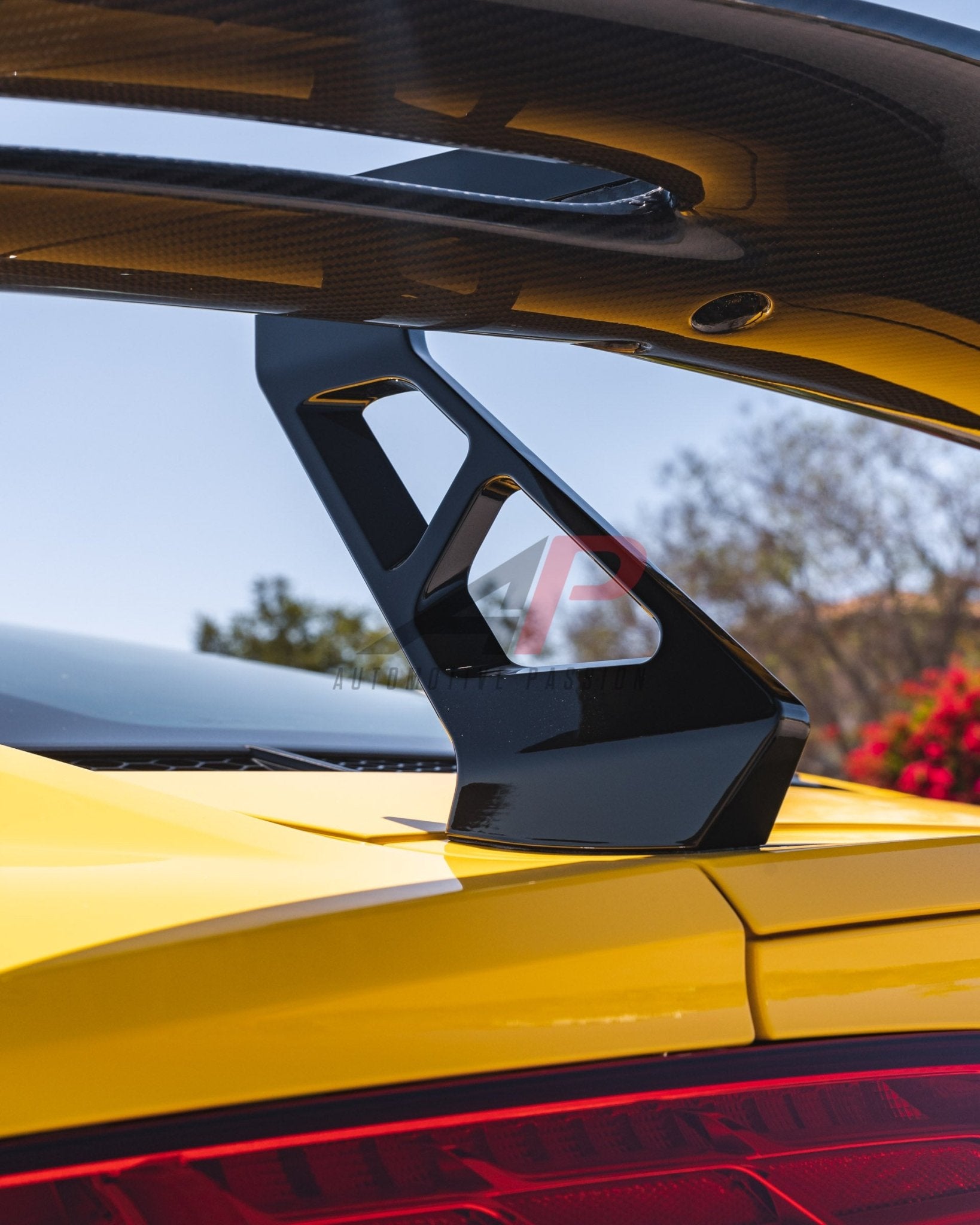 R8 GEN 2 CARBON SPOILER – AUDI R8 GEN 2 DRY CABON FIBER SPOILER/WING AP DESIGN 2016+